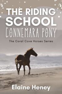 Book Cover: The Riding School Connemara Pony