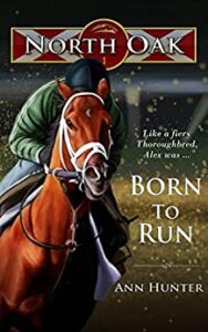 Book Cover: Born to Run