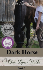 Book Cover: Dark Horse at Oak Lane Stable