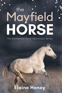 Book Cover: The Mayfield Horse