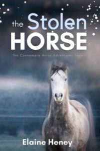 Book Cover: The Stolen Horse