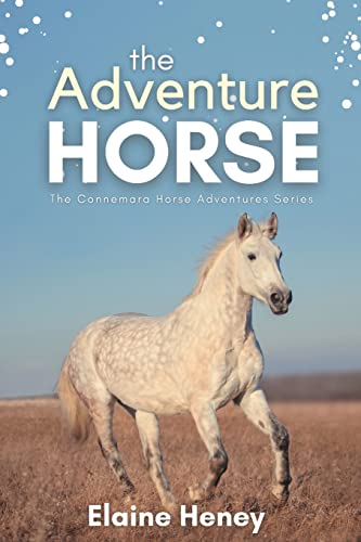 Book Cover: The Adventure Horse