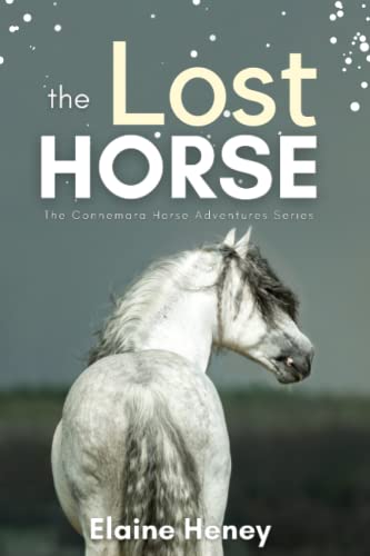 Book Cover: The Lost Horse