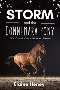 Book Cover: The Storm and the Connemara Pony