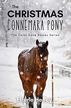 Book Cover: The Christmas Connemara Pony