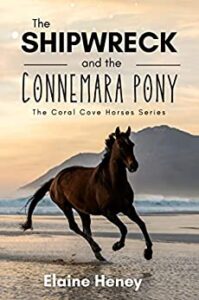 Book Cover: The Shipwreck and the Connemara Pony