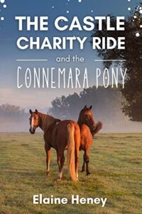 Book Cover: The Castle Charity Ride and the Connemara Pony