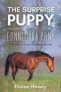 Book Cover: The Surprise Pony and the Connemara Pony