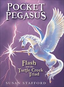 Book Cover: Flash and the Turtle Creek Triad