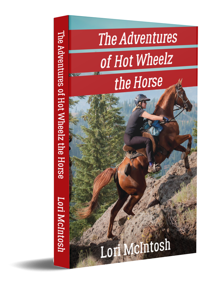 Book Cover: The Adventures of Hot Wheelz, the Horse