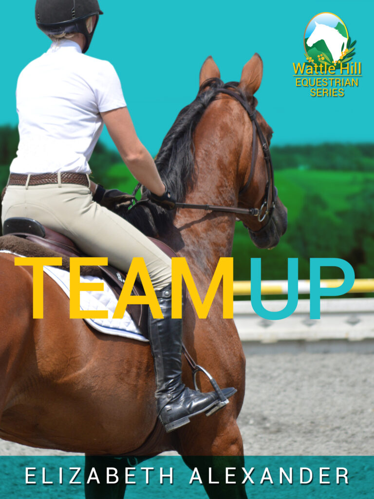 Book Cover: Team Up