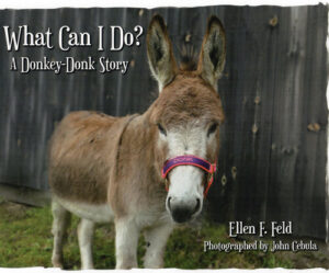 Book Cover: What Can I Do? A Donkey-Donk Story