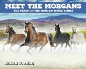 Book Cover: Meet the Morgans