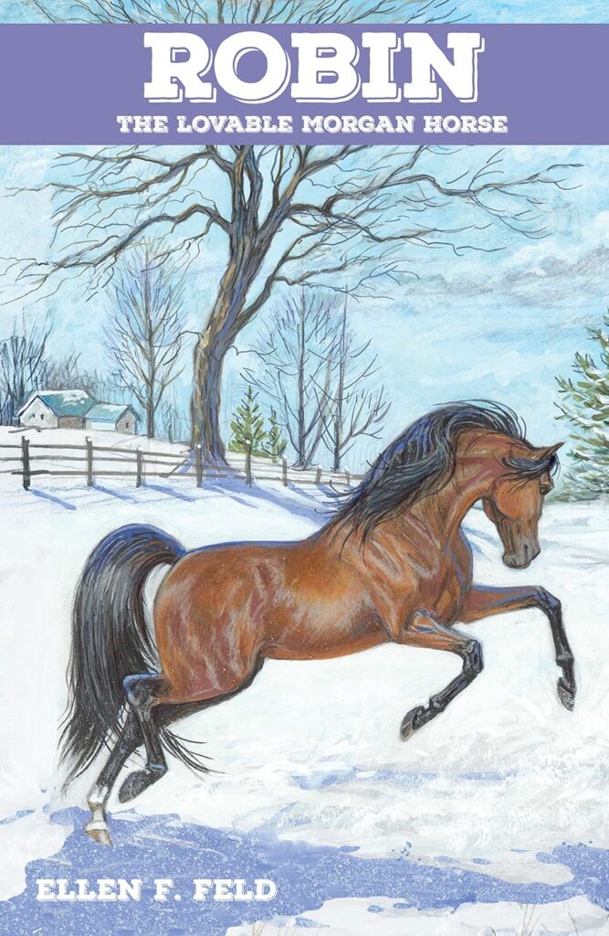 Book Cover: Robin: The Lovable Morgan Horse