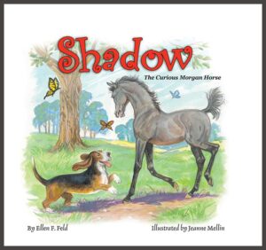 Book Cover: Shadow: The Curious Morgan Horse