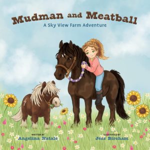 Book Cover: Mudman and Meatball