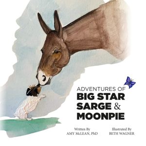 Book Cover: Adventures of Big Star Sarge & Moonpie
